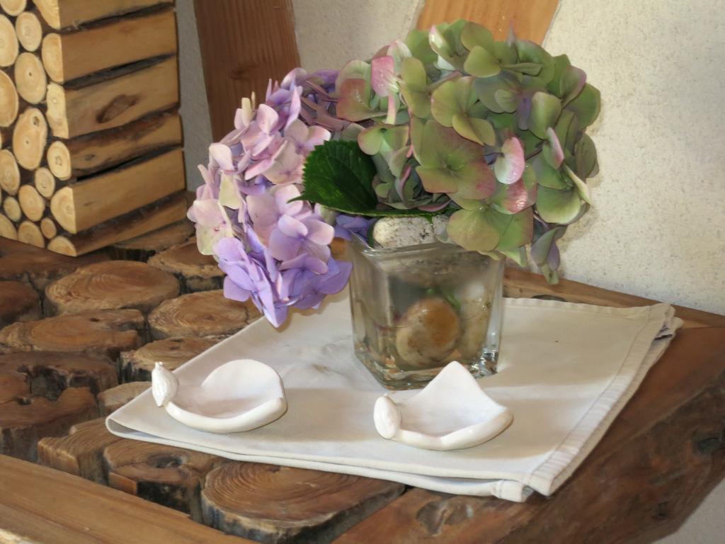 Bed And Breakfast La Fontaine Blanche Melgven Exterior foto